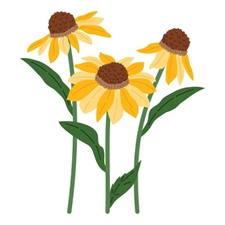 Simon Hurley by Spellbinders Dies - Cascading Coneflowers